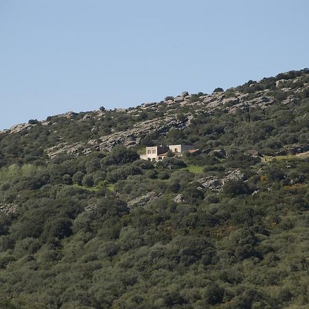 Campi Elisi B&B Sassari Eksteriør billede